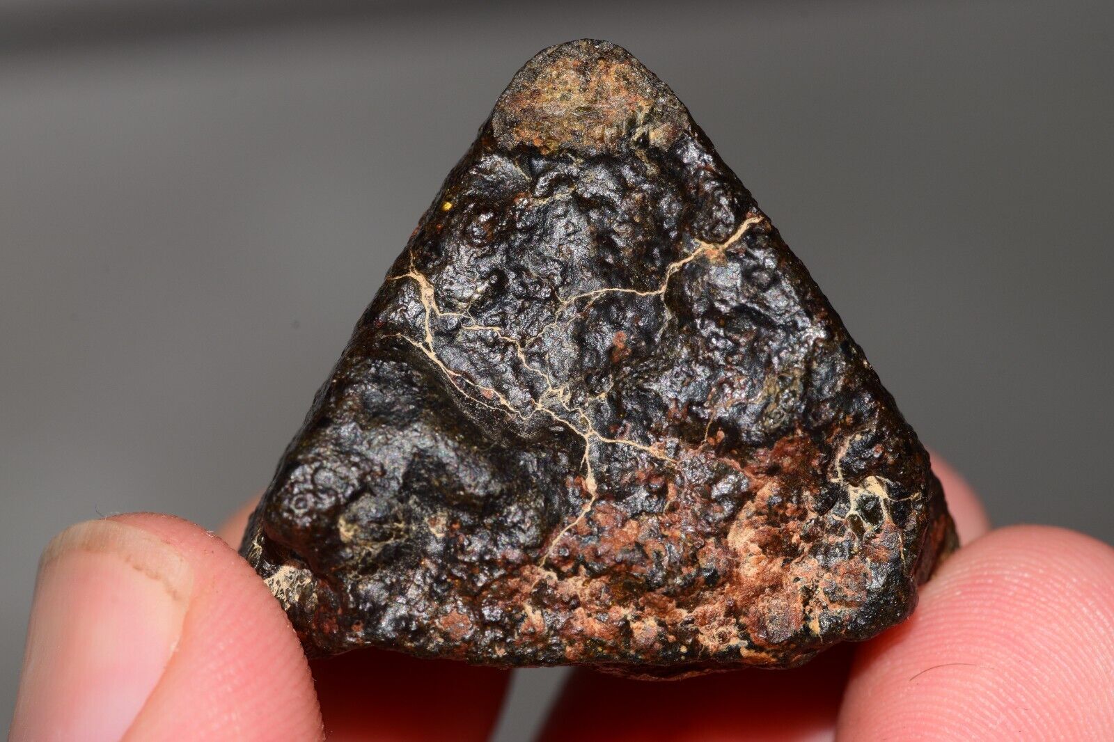 Meteorite Mesosiderite stony Iron Oued Bourdim 003 Main Mass 44.7 grams with COA - MeteoriteNwa.com