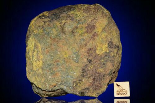 Meteorite Al haggounia 001 El Melt Rock full fragment 264 g COA included - MeteoriteNwa.com