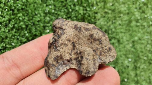 Meteorite Eucrite Breccia Achondrite HED NWA 15405 Endcut 31.5 Grams - MeteoriteNwa.com