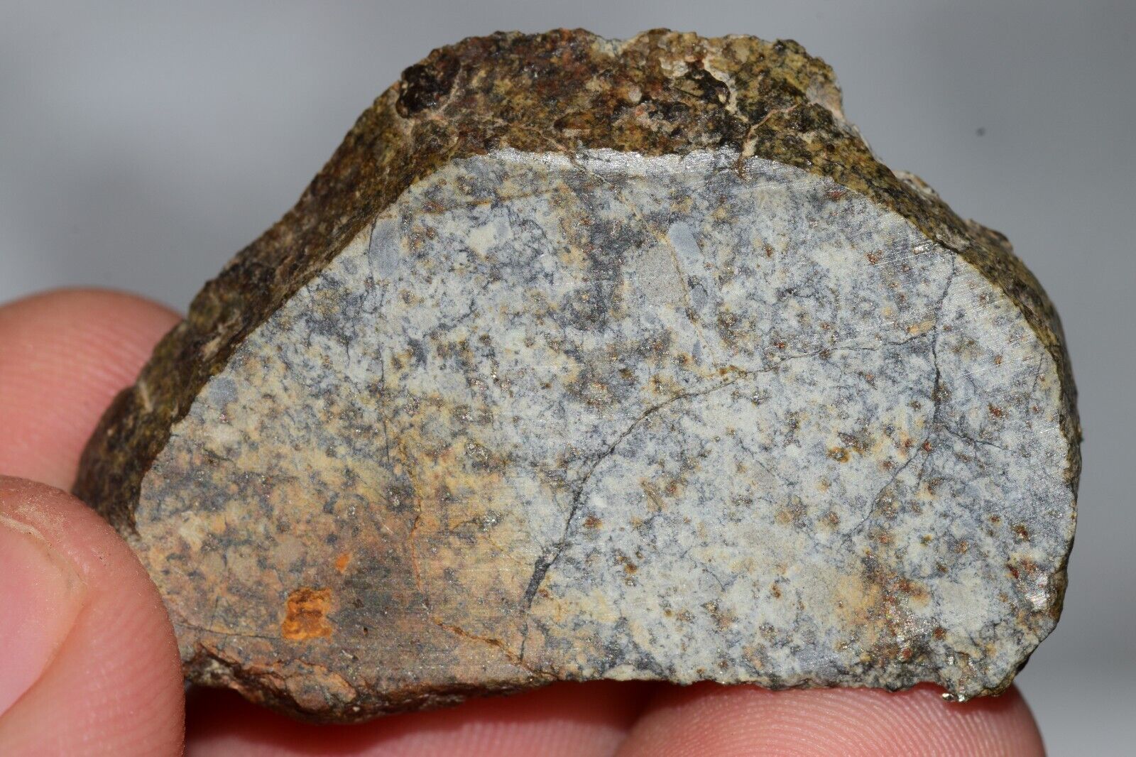 Meteorite Chondrite LL6 NWA 14225 Slice 15.9G with black shock melt veins. W COA - MeteoriteNwa.com