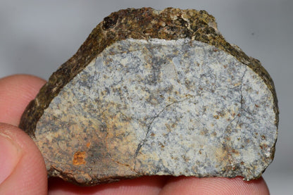 Meteorite Chondrite LL6 NWA 14225 Slice 15.9G with black shock melt veins. W COA - MeteoriteNwa.com
