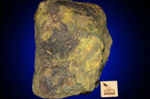 Meteorite Al haggounia 001 El Melt Rock full fragment 264 g COA included - MeteoriteNwa.com