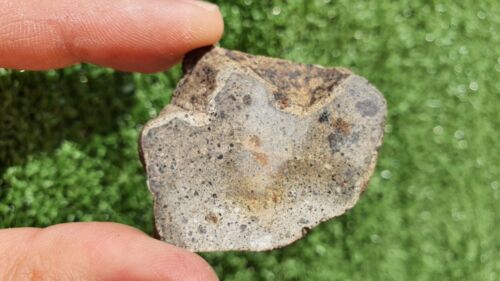 Meteorite Eucrite Breccia Achondrite HED NWA 15405 Slice 17.4 Grams - MeteoriteNwa.com