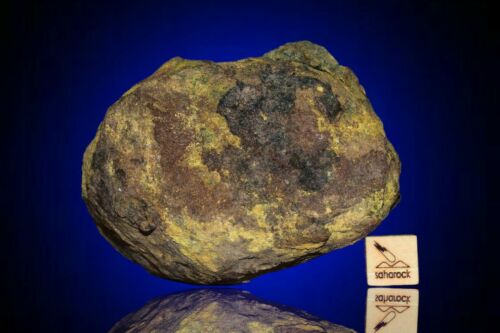 Meteorite Al haggounia 001 El Melt Rock full fragment 264 g COA included - MeteoriteNwa.com