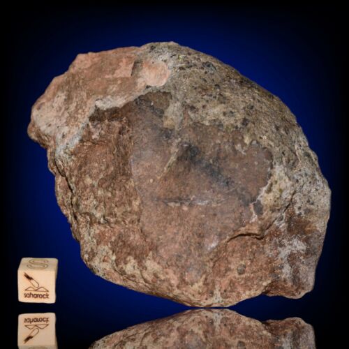 Meteorite HED achondrite Diogenite polyimict NWA 14868 Main mass 628.3 grams - MeteoriteNwa.com