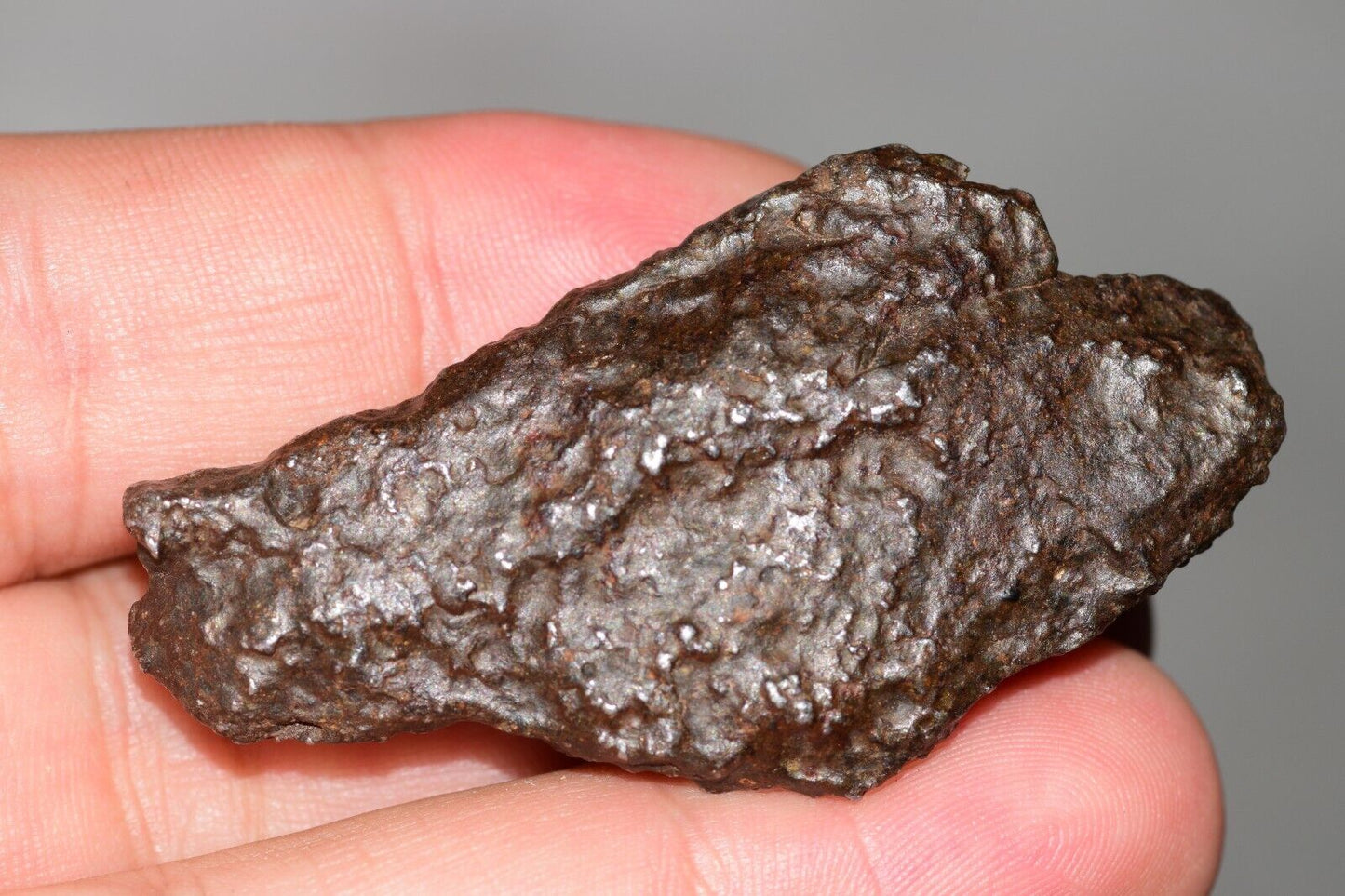 Meteorite Mesosiderite stony Iron NWA 14226 full fragment 42.9 grams WIth COA - MeteoriteNwa.com