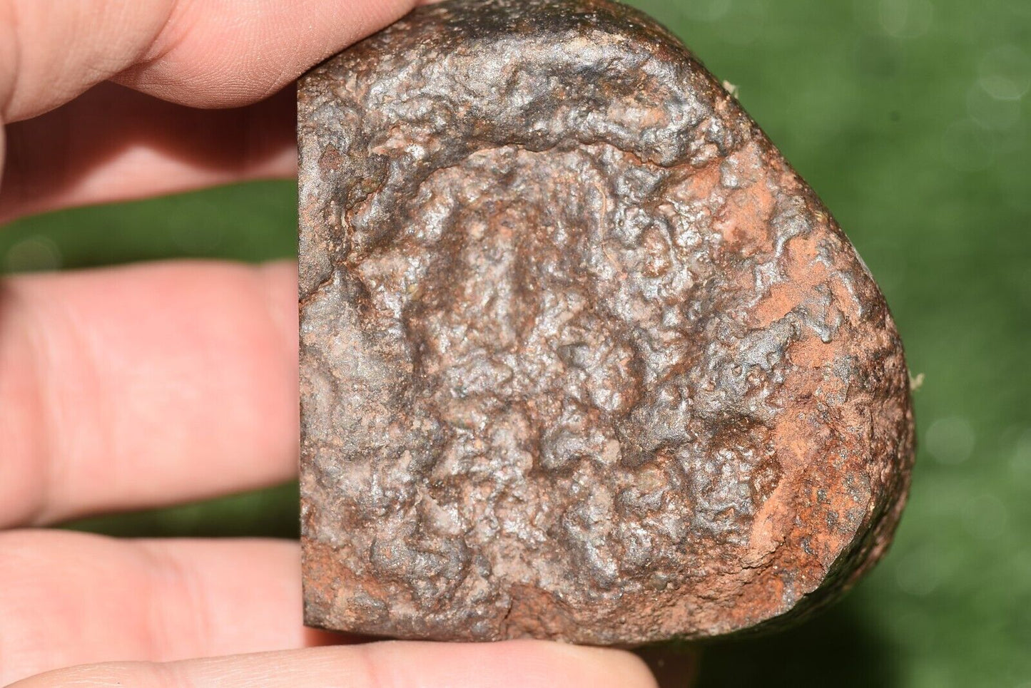 Meteorite Ordinary chondrite H5 Nwa 15416 Main Mass 301 g brownish space stone - MeteoriteNwa.com