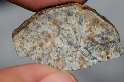 Meteorite Chondrite LL6 NWA 14225 Slice 3.51G with black shock melt veins. W COA - MeteoriteNwa.com