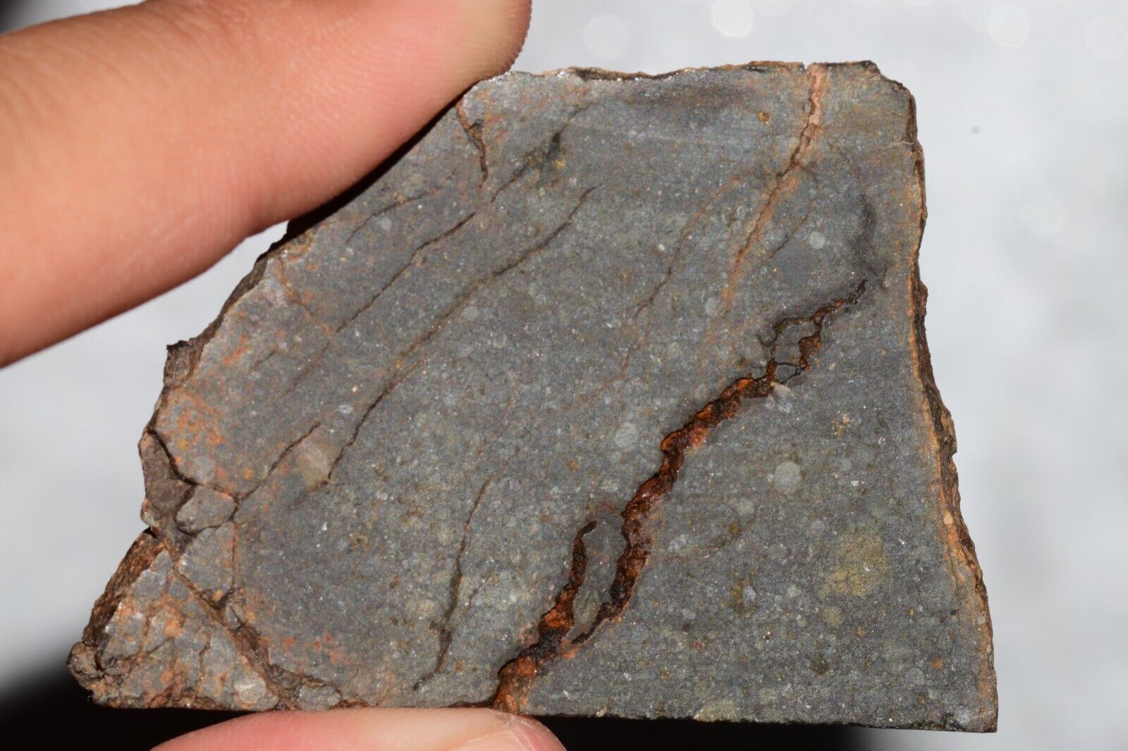 Meteorite Chondrite LL3 NWA 14224 Slice 29.7G with fine-grained dark gray matrix - MeteoriteNwa.com