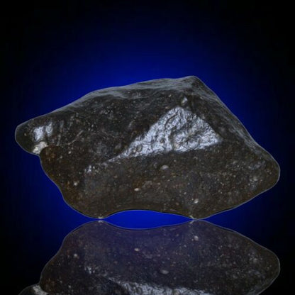 Meteorite chondrite Ordinary H4 NWA 14003 Complete fragment - 229.8g - MeteoriteNwa.com