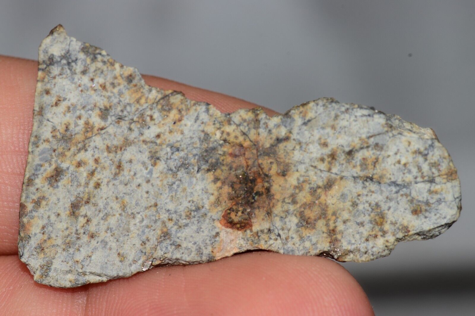 Meteorite Chondrite LL6 NWA 14225 Slice 7.11G with black shock melt veins. W COA - MeteoriteNwa.com