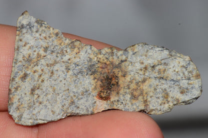 Meteorite Chondrite LL6 NWA 14225 Slice 7.11G with black shock melt veins. W COA - MeteoriteNwa.com