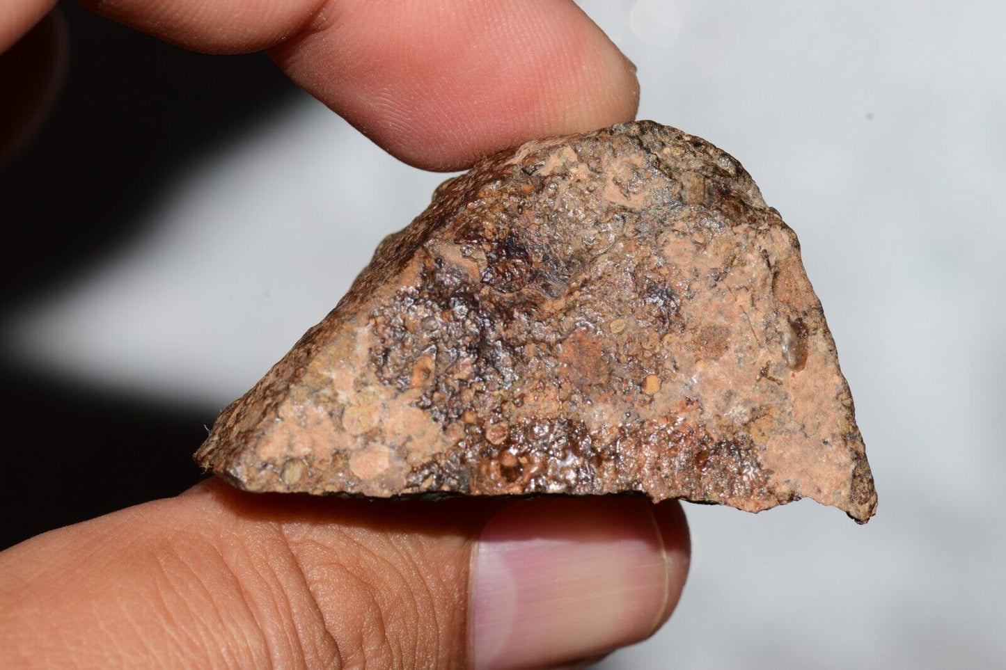 Meteorite Chondrite LL3 NWA 14224 Endcut 43.4G W fine-grained dark gray matrix - MeteoriteNwa.com