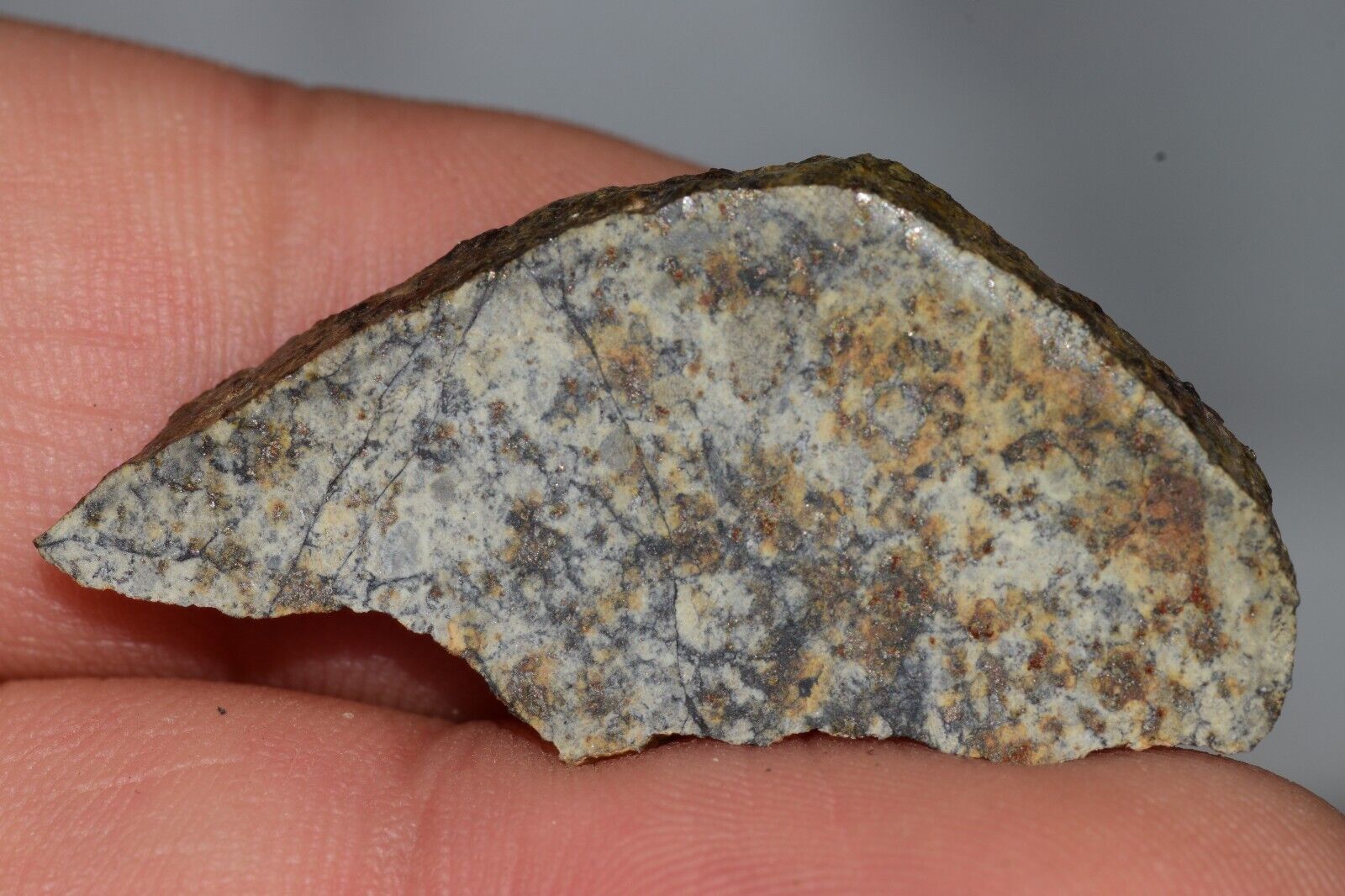 Meteorite Chondrite LL6 NWA 14225 Slice 3.87G with black shock melt veins. W COA - MeteoriteNwa.com