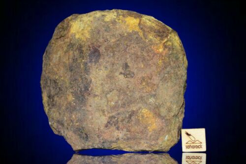 Meteorite Al haggounia 001 El Melt Rock full fragment 264 g COA included - MeteoriteNwa.com