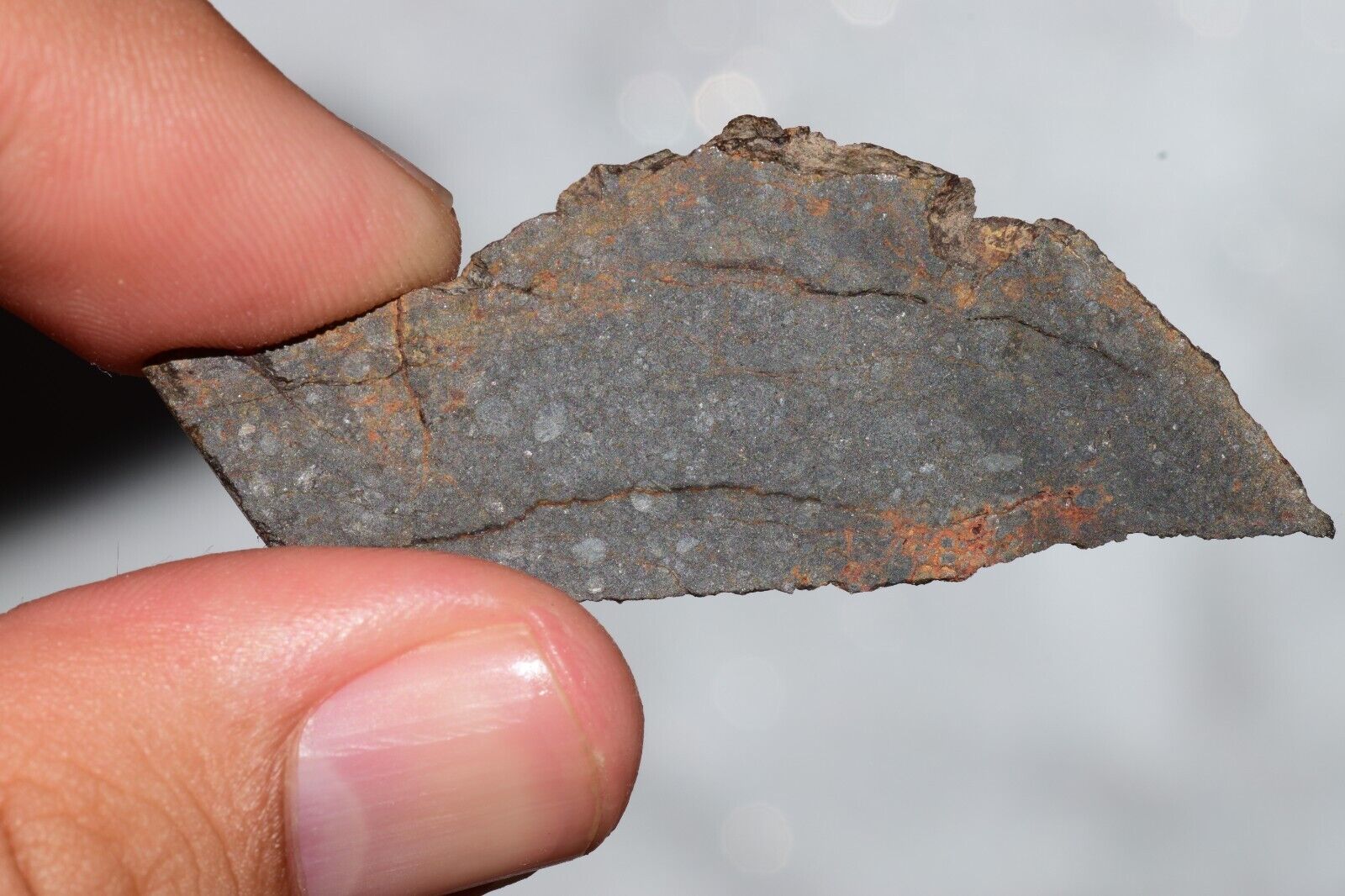 Meteorite Chondrite LL3 NWA 14224 Slice 6.81G with fine-grained dark gray matrix - MeteoriteNwa.com