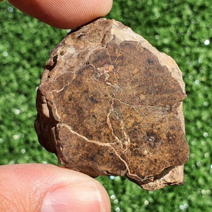 Meteorite Chondrite LL7 NWA 15408 Main Mass 60.6G Brownish rock - MeteoriteNwa.com
