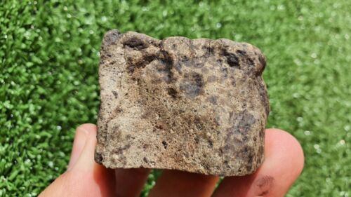 Meteorite Eucrite Breccia Achondrite HED NWA 15405 Main Mass 107 Grams - MeteoriteNwa.com