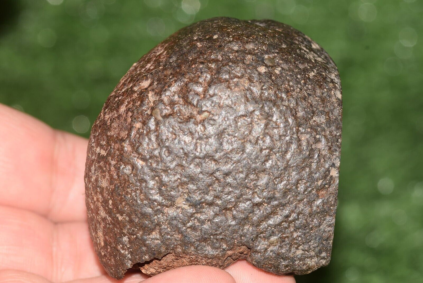 Meteorite Ordinary chondrite H5 Nwa 15416 Main Mass 301 g brownish space stone - MeteoriteNwa.com