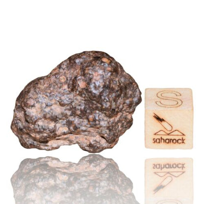 Meteorite CR2 Carbonaceous chondrite Rare NWA 14870 Wonderful 9.59 G Fragment! - MeteoriteNwa.com