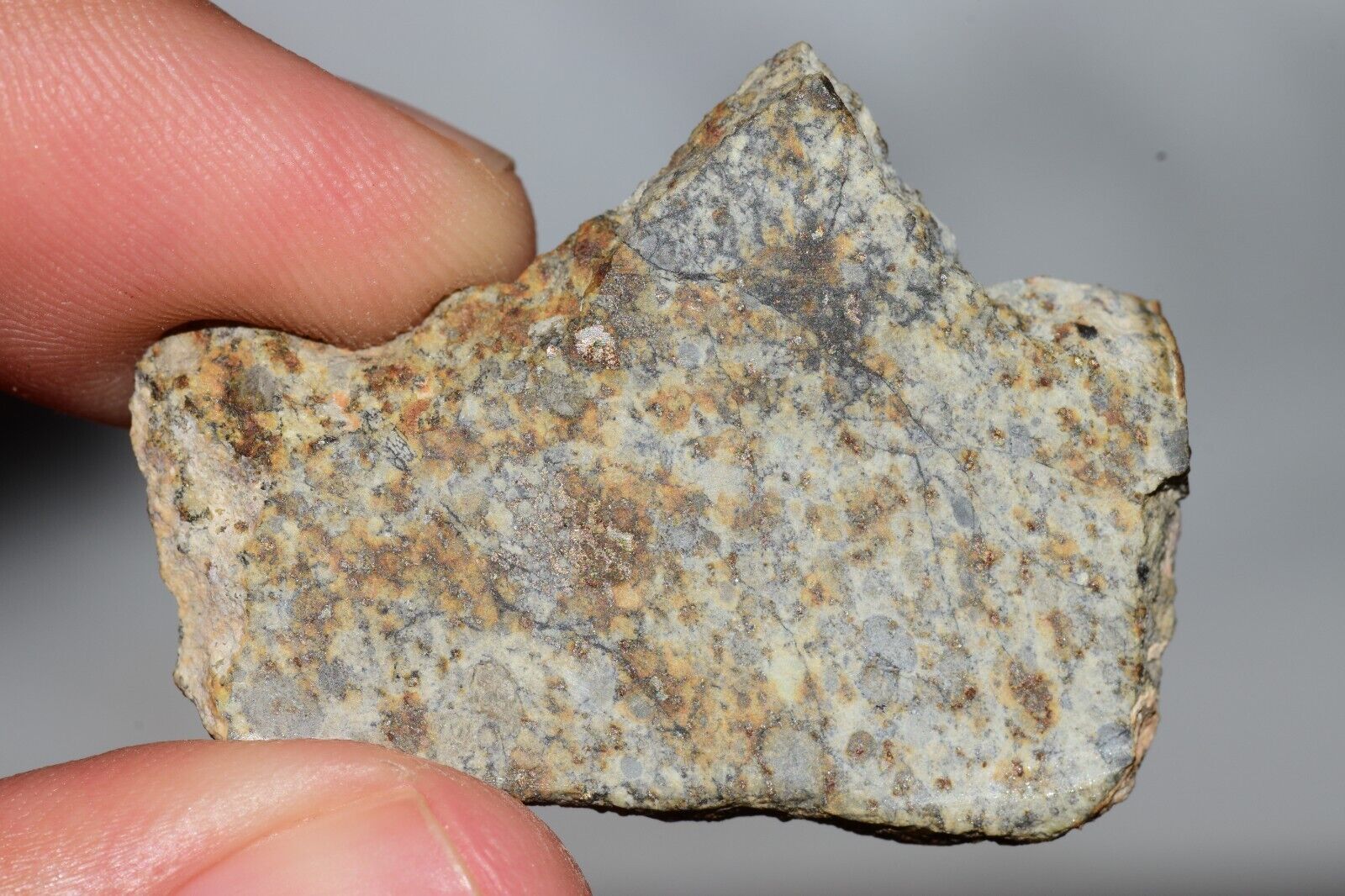 Meteorite Chondrite LL6 NWA 14225 Slice 7.14G with black shock melt veins. W COA - MeteoriteNwa.com