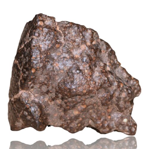 Meteorite CR2 Carbonaceous chondrite Rare NWA 14870 main mass 111.4 G Fragment! - MeteoriteNwa.com