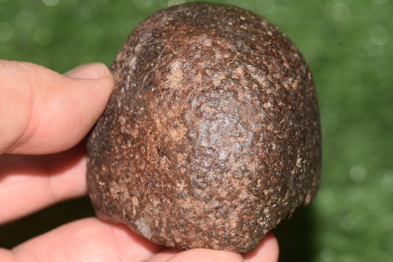 Meteorite Ordinary chondrite H5 Nwa 15416 Main Mass 301 g brownish space stone - MeteoriteNwa.com