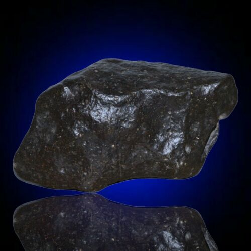 Meteorite chondrite Ordinary H4 NWA 14003 Complete fragment - 229.8g - MeteoriteNwa.com