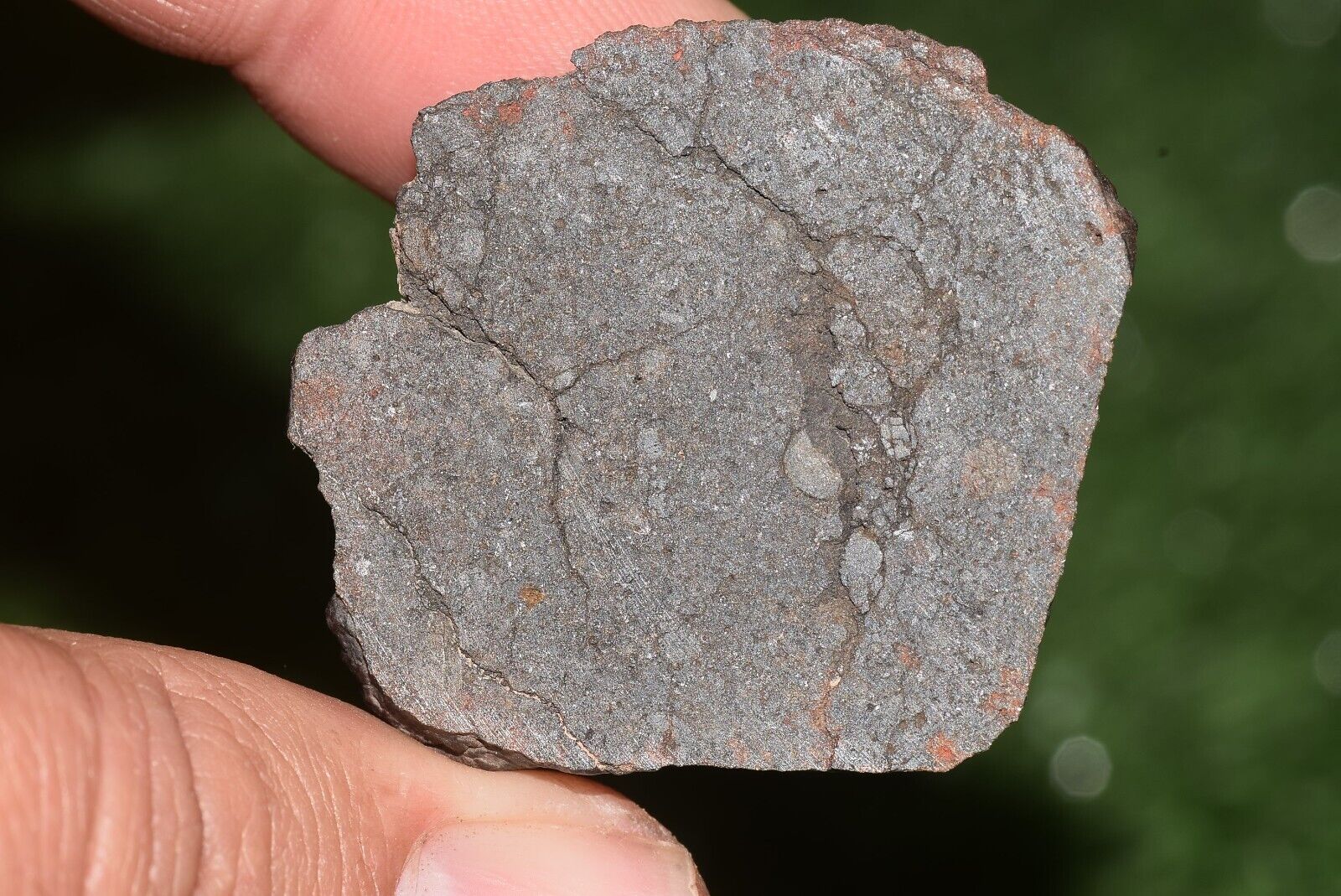 Meteorite chondrite Brownish L6 Nwa 15406 Main Mass 49 g - MeteoriteNwa.com