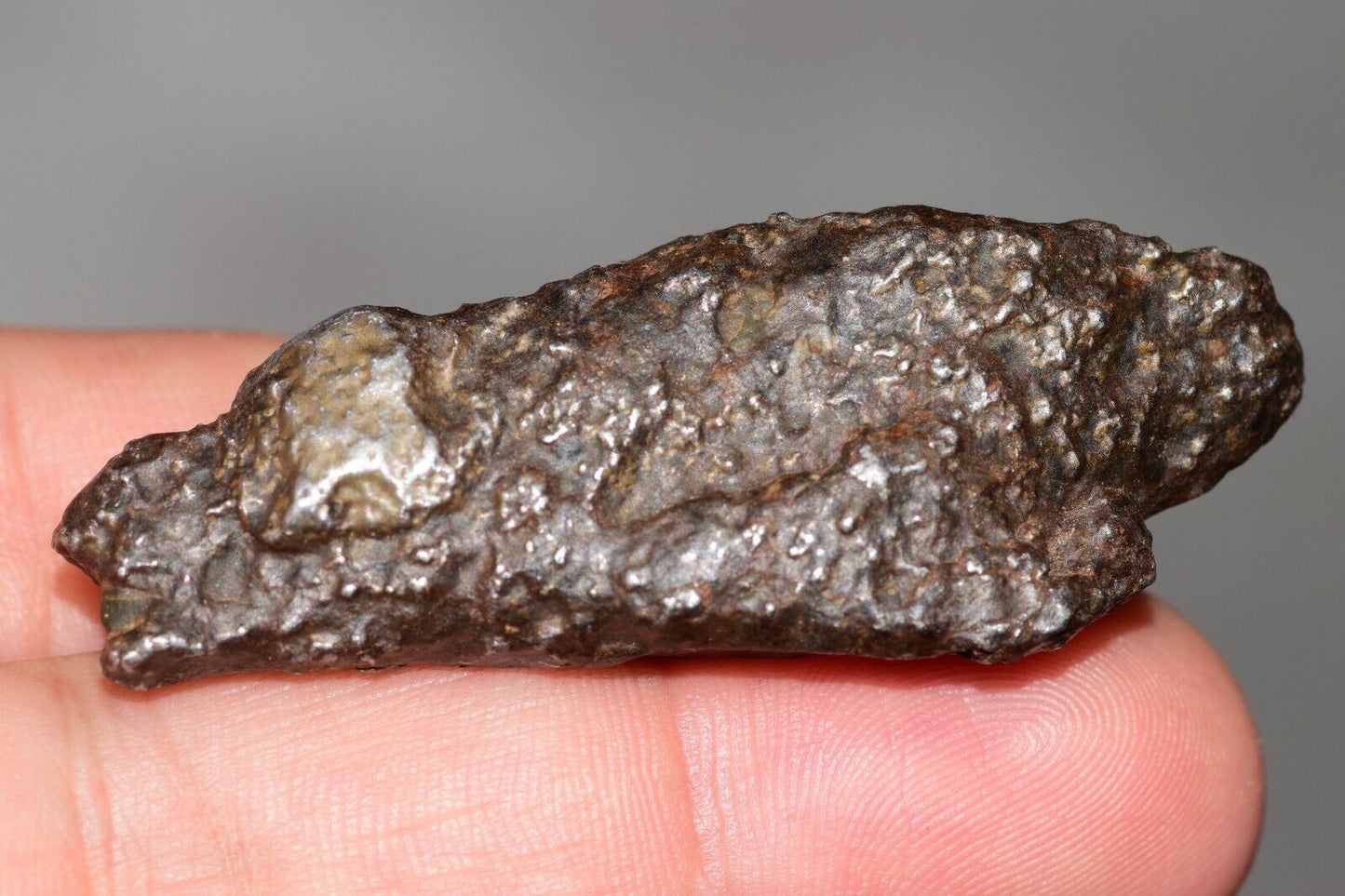 Meteorite Mesosiderite stony Iron NWA 14226 full fragment 42.9 grams WIth COA - MeteoriteNwa.com