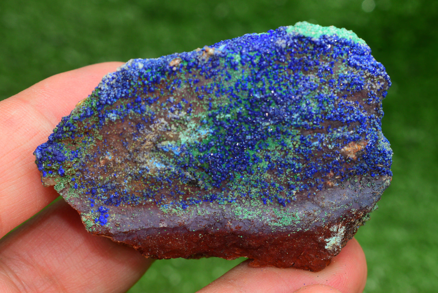 Azurite over Malachite Crystal from Morocco - Freeform Cluster Shape, Natural and Genuine - MeteoriteNwa.com