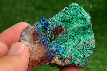 Azurite over Malachite Crystal from Morocco - Freeform Cluster Shape, Natural and Genuine - MeteoriteNwa.com
