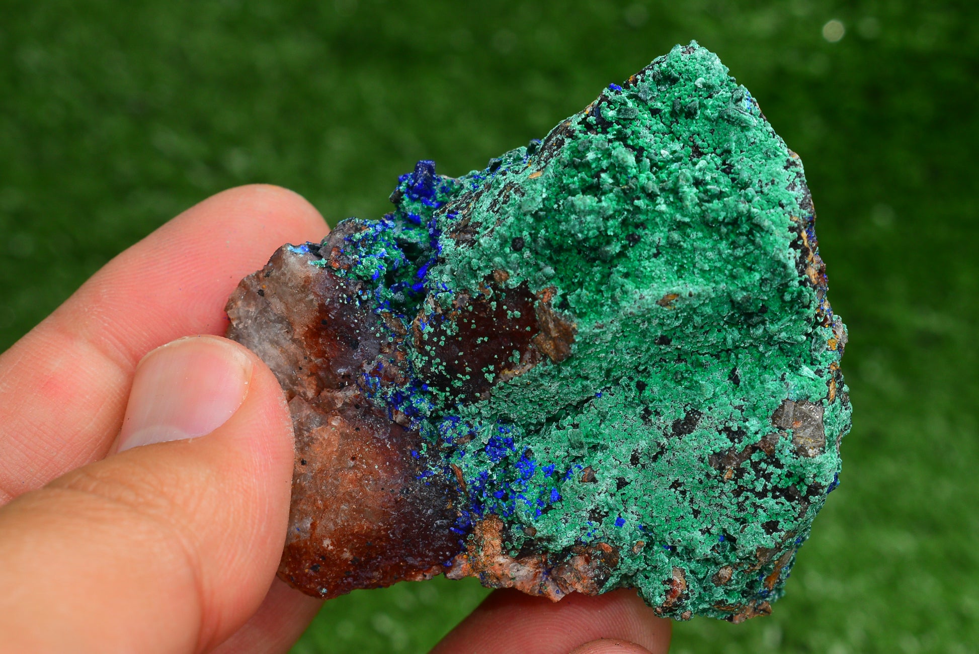 Azurite over Malachite Crystal from Morocco - Freeform Cluster Shape, Natural and Genuine - MeteoriteNwa.com