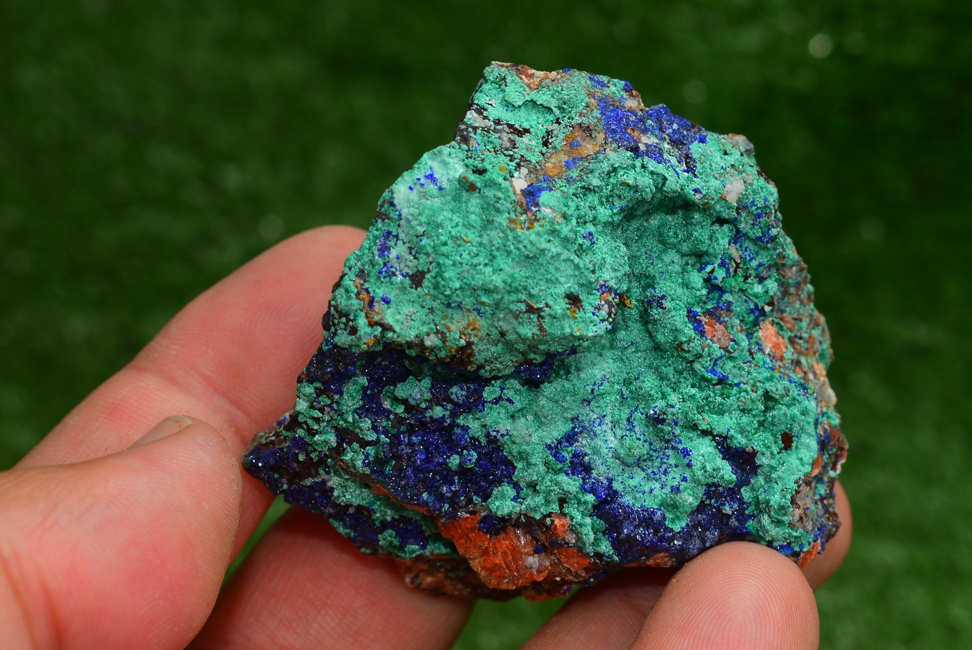 Azurite over Malachite Crystal from Morocco - Freeform Cluster Shape, Natural and Genuine - MeteoriteNwa.com