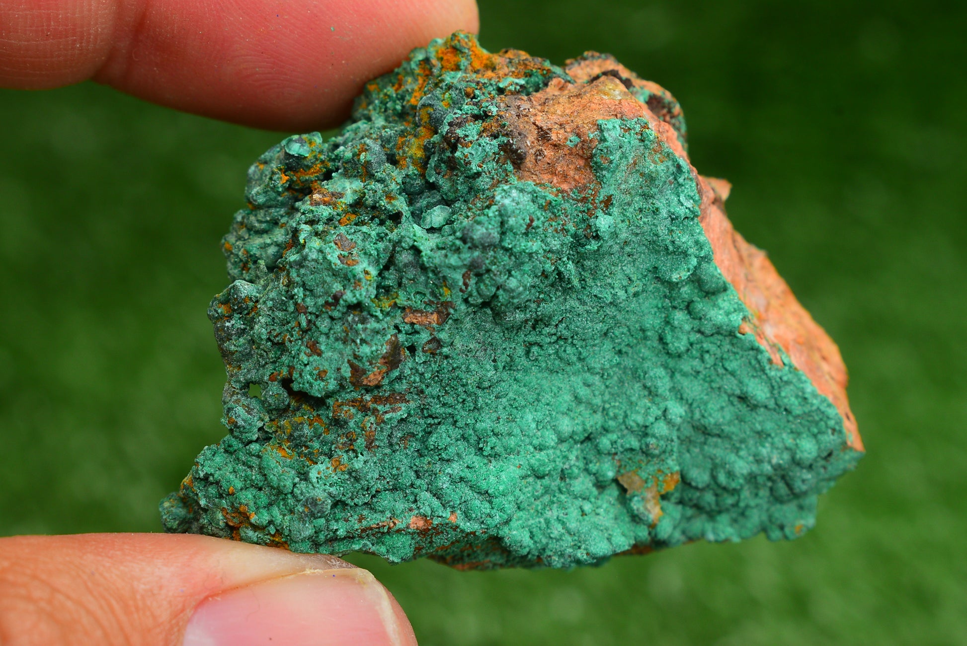 Azurite over Malachite Crystal from Morocco - Freeform Cluster Shape, Natural and Genuine - MeteoriteNwa.com