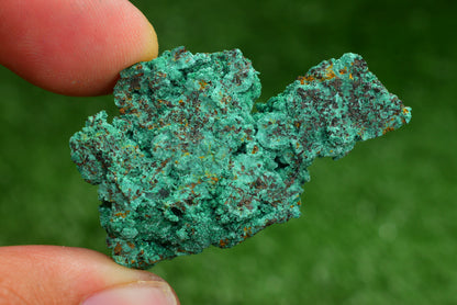 Azurite over Malachite Crystal from Morocco - Freeform Cluster Shape, Natural and Genuine - MeteoriteNwa.com