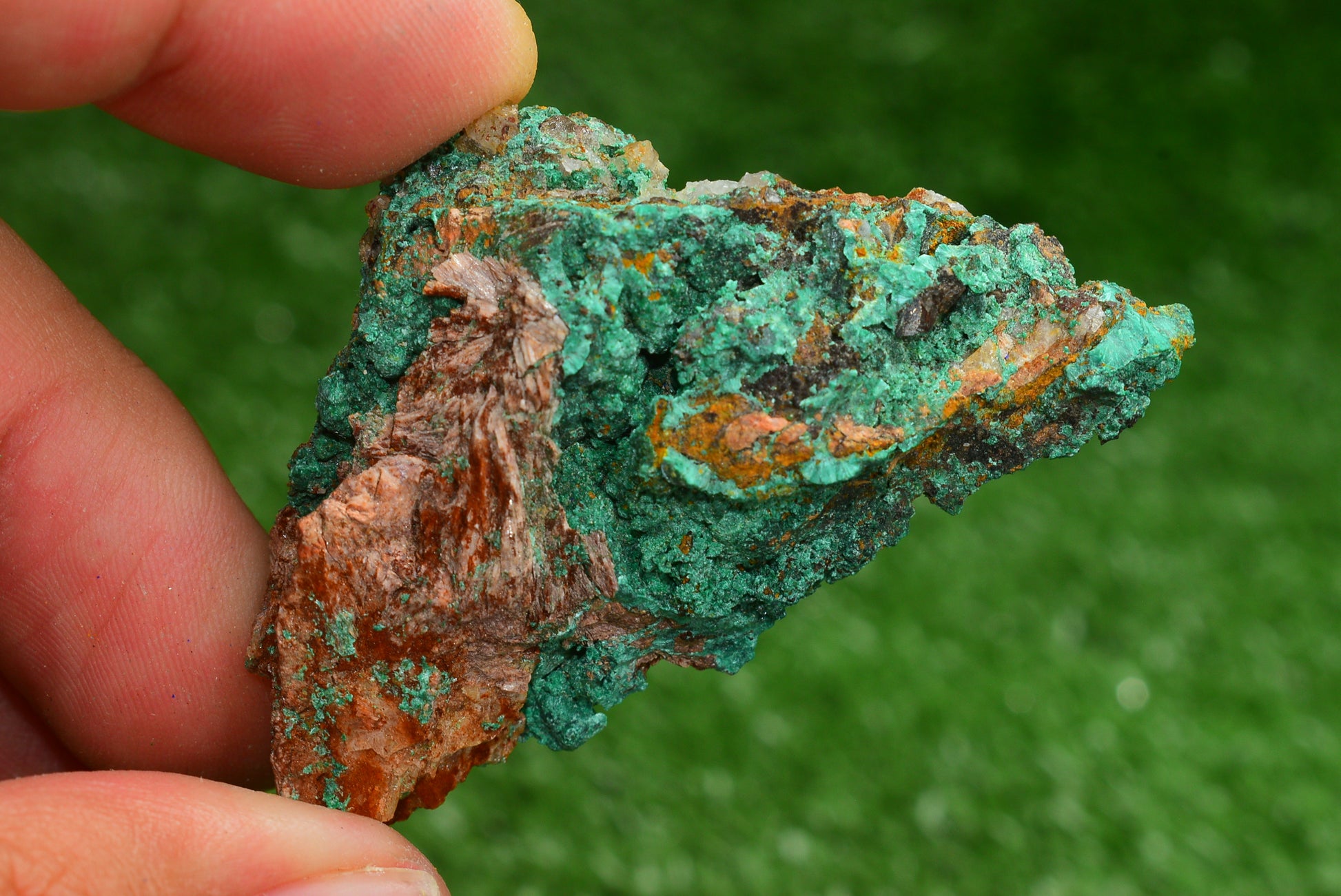 Azurite over Malachite Crystal from Morocco - Freeform Cluster Shape, Natural and Genuine - MeteoriteNwa.com