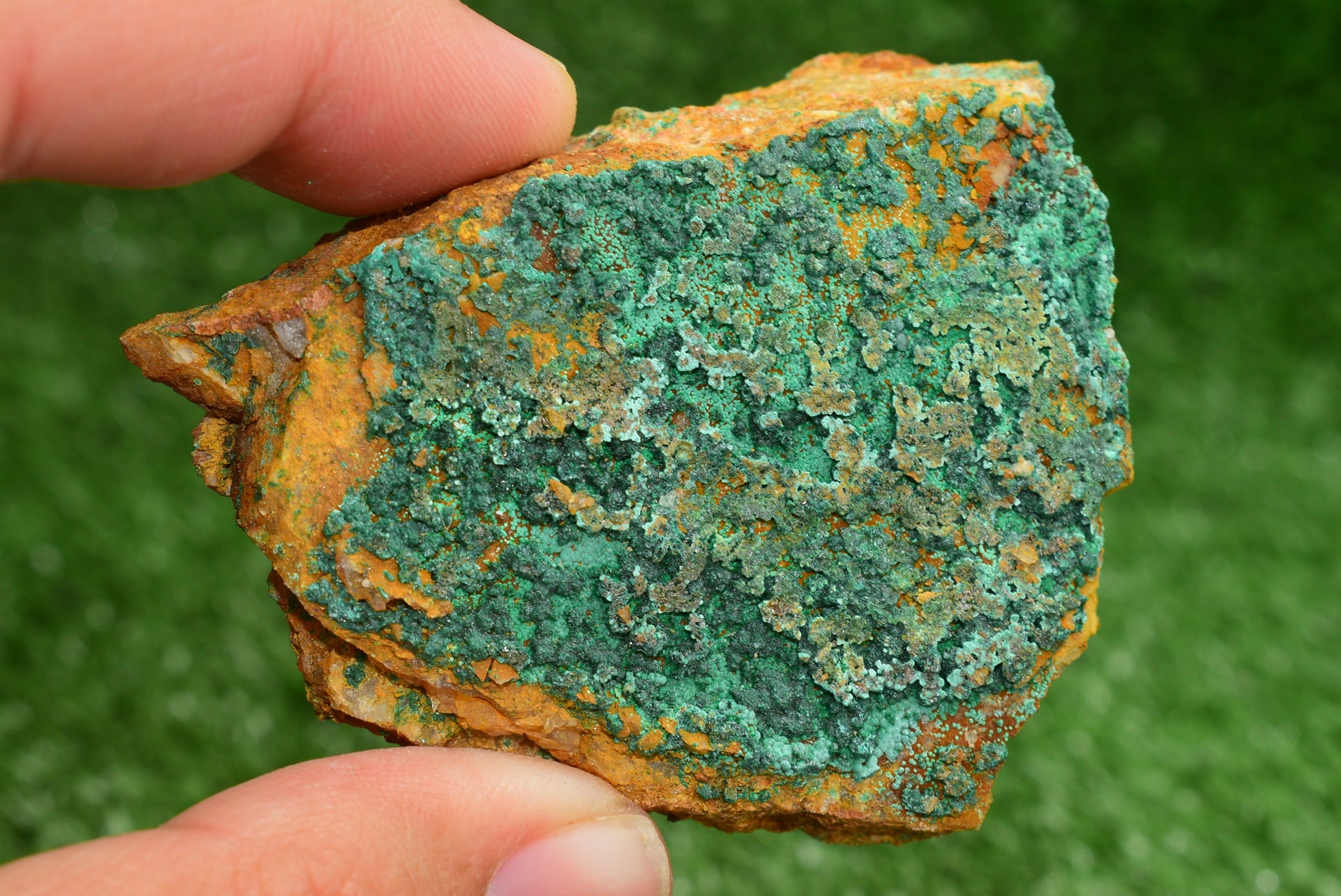 Azurite over Malachite Crystal from Morocco - Freeform Cluster Shape, Natural and Genuine - MeteoriteNwa.com
