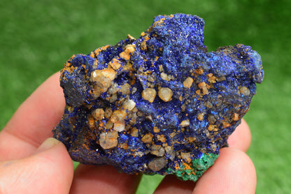 Azurite over Malachite Crystal from Morocco - Freeform Cluster Shape, Natural and Genuine - MeteoriteNwa.com