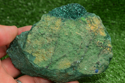 Azurite over Malachite Crystal from Morocco - Freeform Cluster Shape, Natural and Genuine - MeteoriteNwa.com