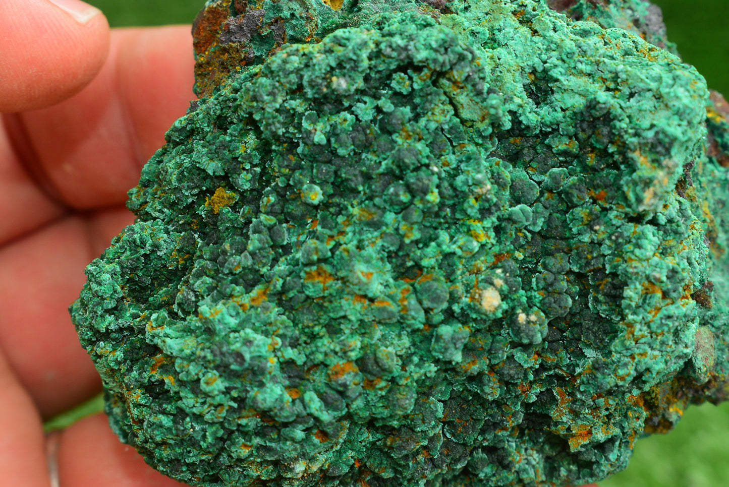 Malachite Crystal from Morocco - Freeform Cluster Shape, Natural and Genuine - MeteoriteNwa.com