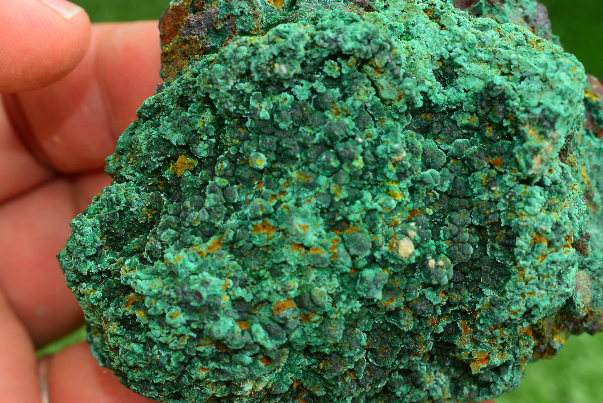 Malachite Crystal from Morocco - Freeform Cluster Shape, Natural and Genuine - MeteoriteNwa.com