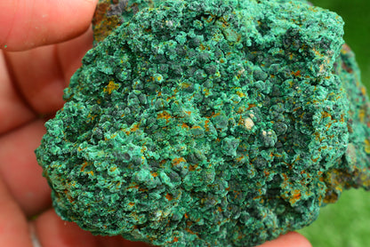 Malachite Crystal from Morocco - Freeform Cluster Shape, Natural and Genuine - MeteoriteNwa.com