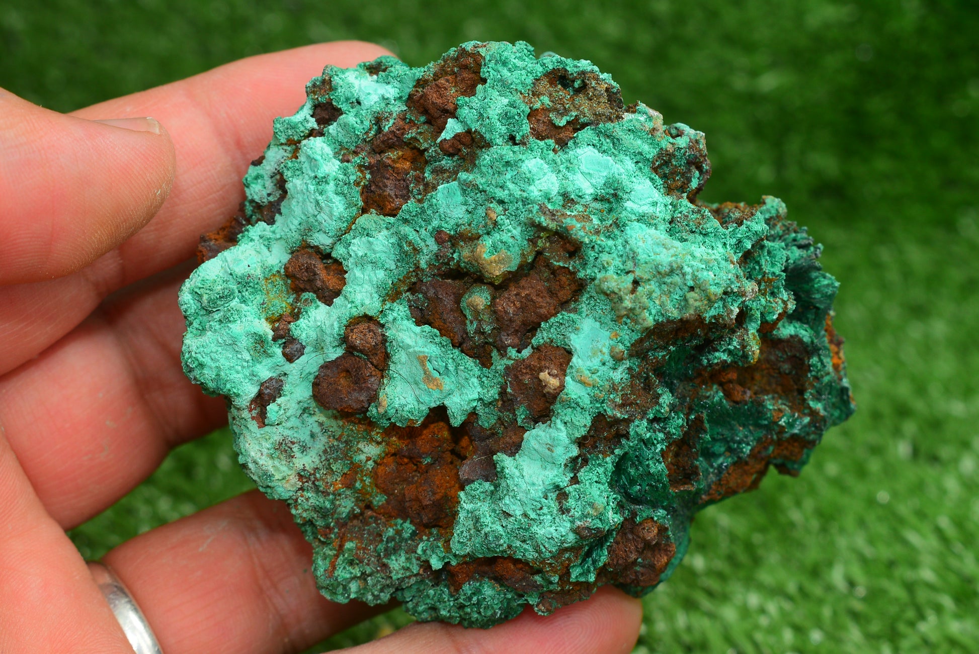 Malachite Crystal from Morocco - Freeform Cluster Shape, Natural and Genuine - MeteoriteNwa.com