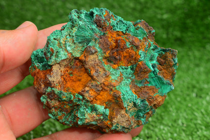 Malachite Crystal from Morocco - Freeform Cluster Shape, Natural and Genuine - MeteoriteNwa.com