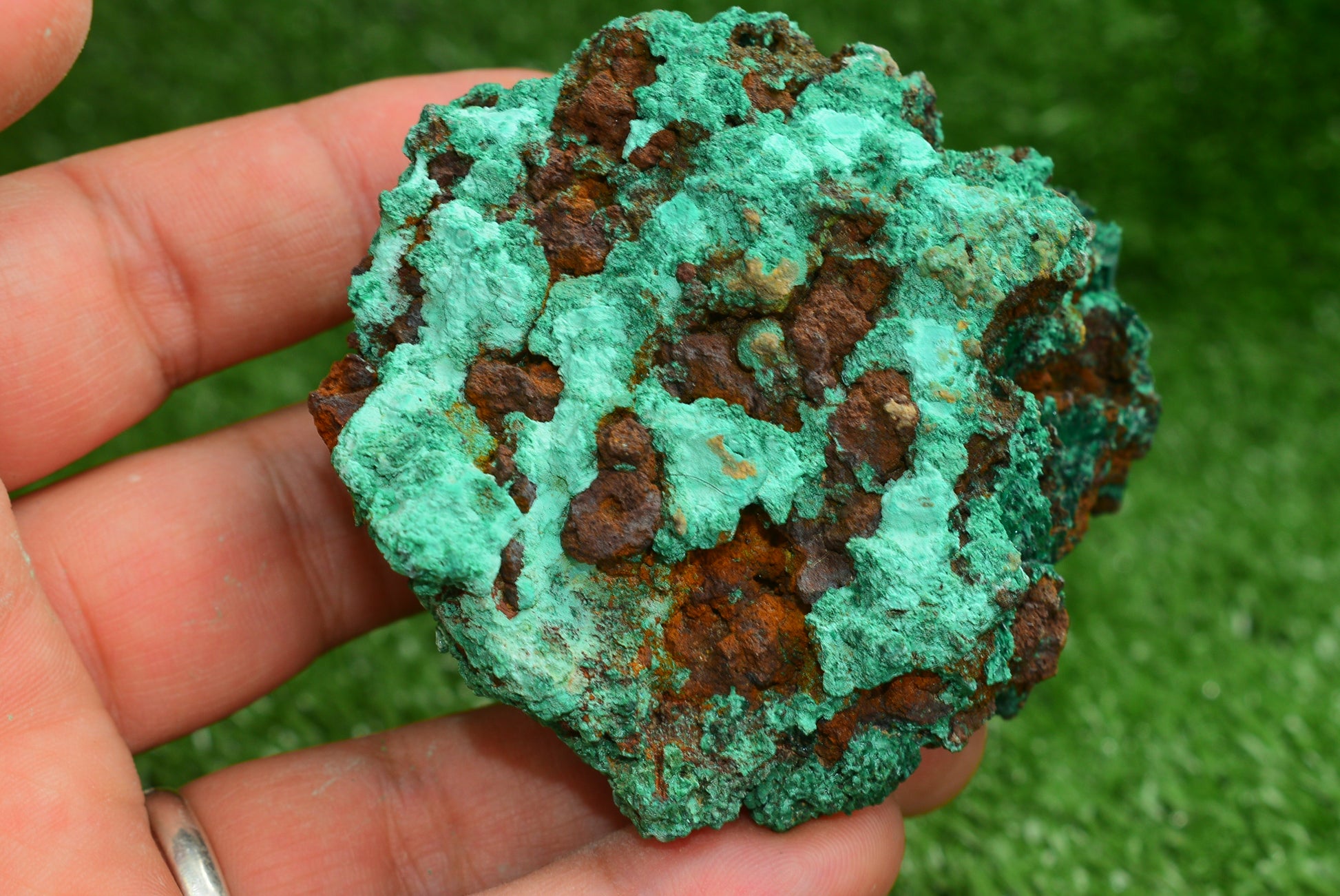 Malachite Crystal from Morocco - Freeform Cluster Shape, Natural and Genuine - MeteoriteNwa.com