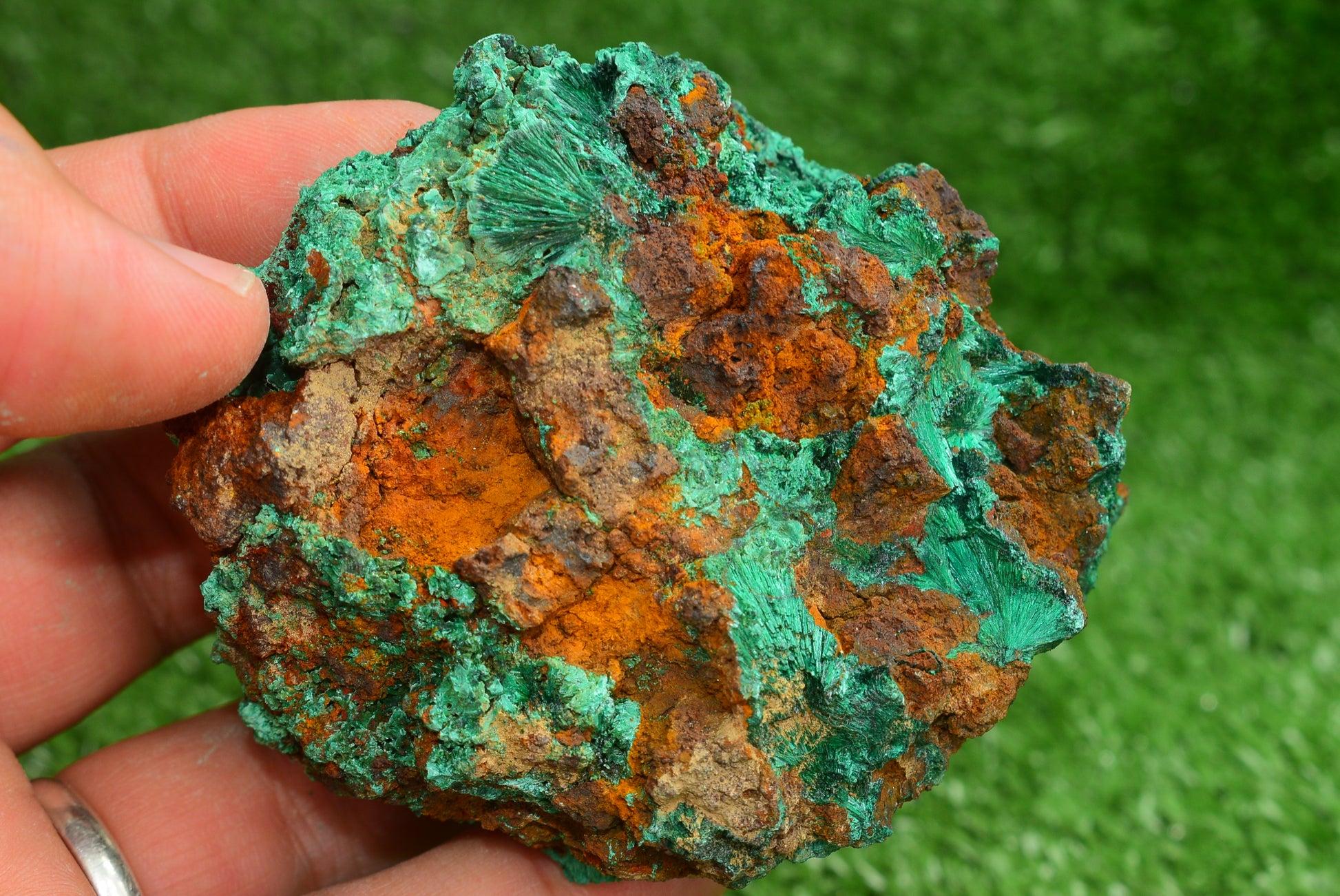 Malachite Crystal from Morocco - Freeform Cluster Shape, Natural and Genuine - MeteoriteNwa.com