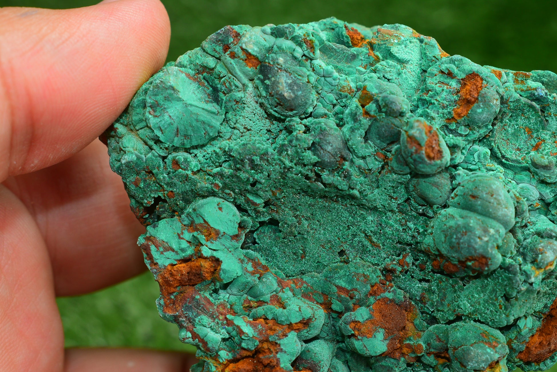 Malachite Crystal from Morocco - Freeform Cluster Shape, Natural and Genuine - MeteoriteNwa.com
