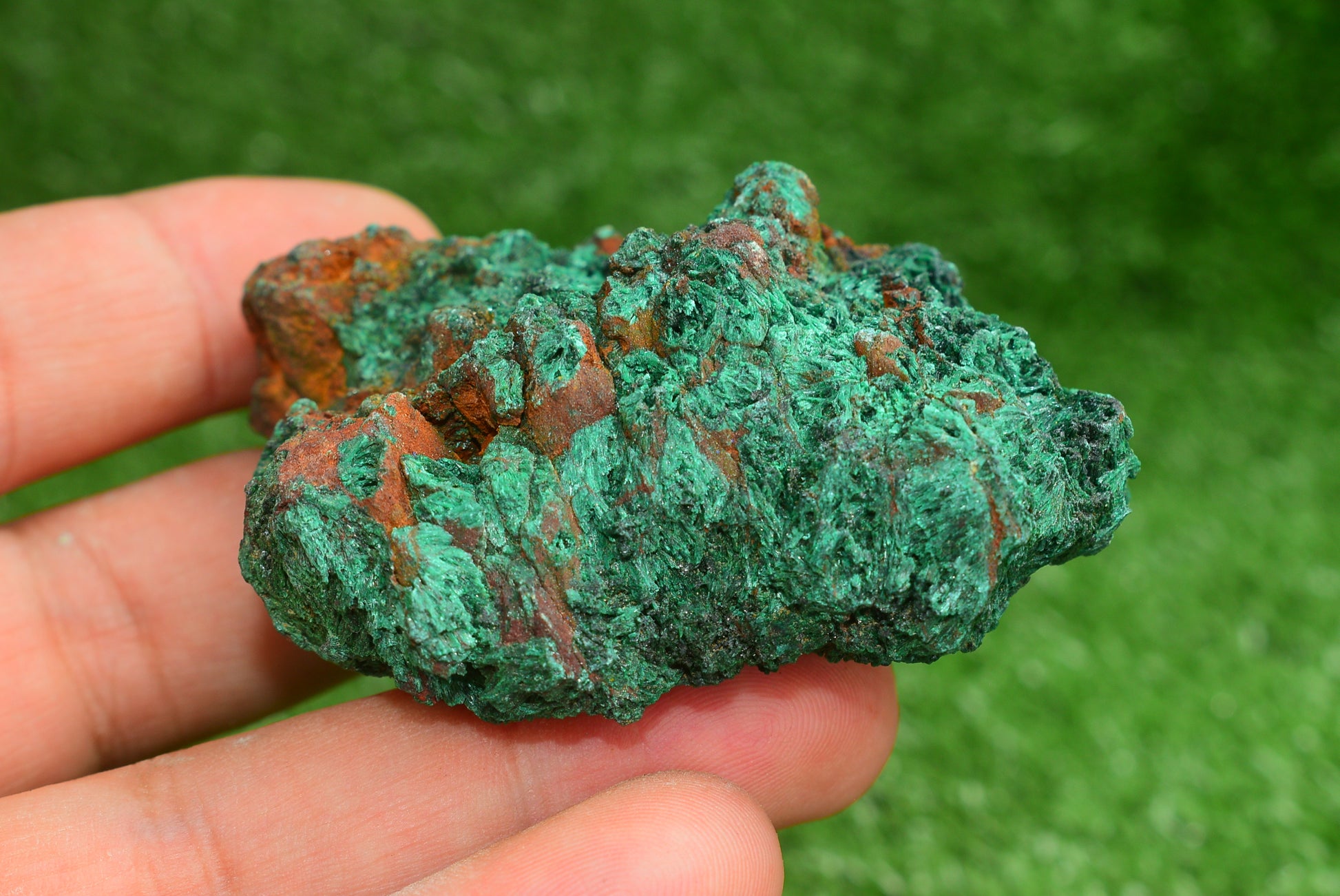 Malachite Crystal from Morocco - Freeform Cluster Shape, Natural and Genuine - MeteoriteNwa.com