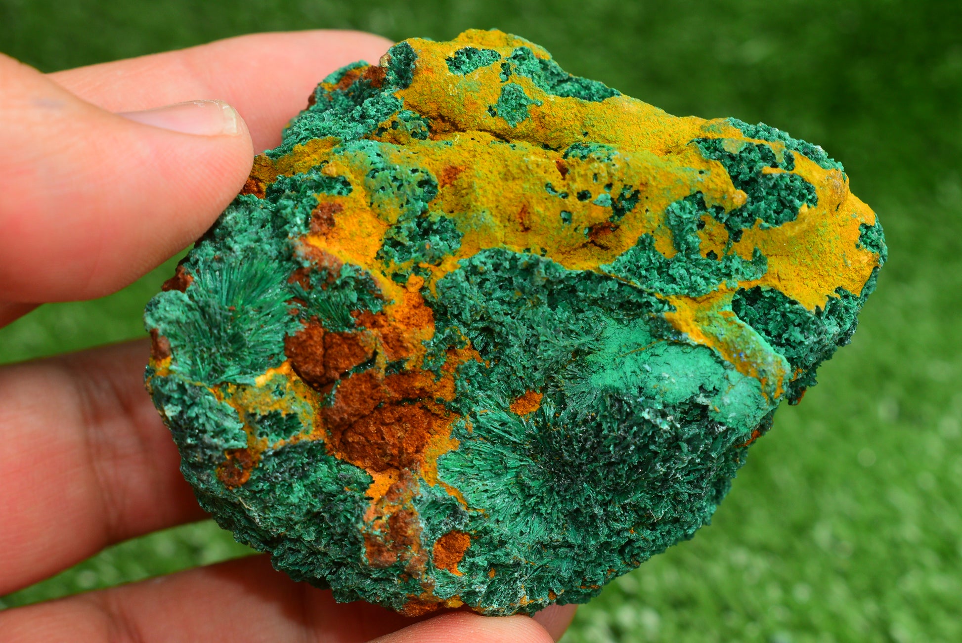 Malachite Crystal from Morocco - Freeform Cluster Shape, Natural and Genuine - MeteoriteNwa.com